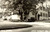 1934 bell school 2001.55.1_tiny